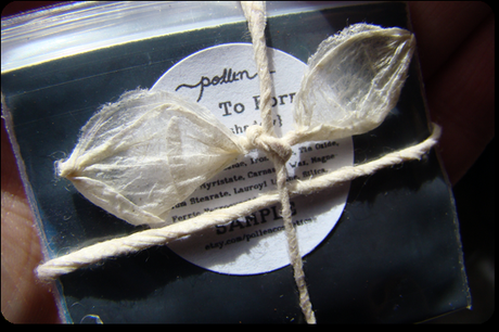 Reseña: Pollen Cosmetics