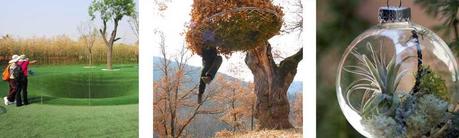 Tres imagenes 00 Diseño en el mundo del jardin