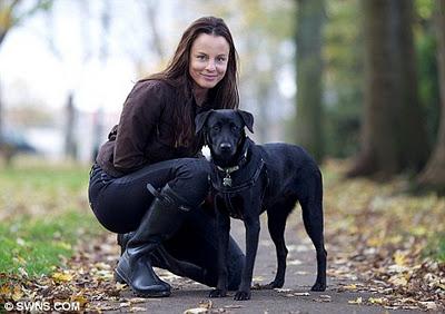 Pagan 2400 euros para salvar un perro callejero.