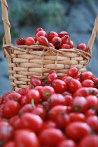 El Bellezario: Milagros