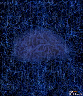 Cajal Blue Brain Project