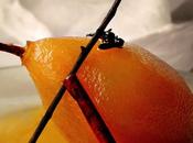 perita dulce…a especias