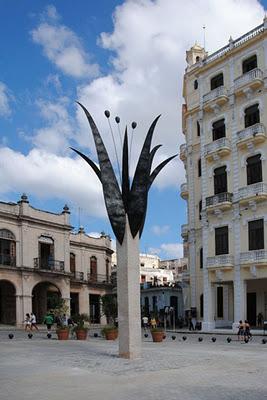 Creció imponente flor en La Habana Vieja