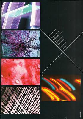 El orgullo de pertenecer