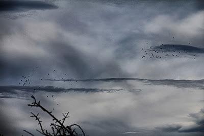 Ehiza garaia Gaztelumendian