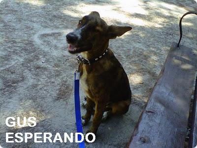 3 ALMAS QUE BUSCAN FAMILIA - VALENCIA