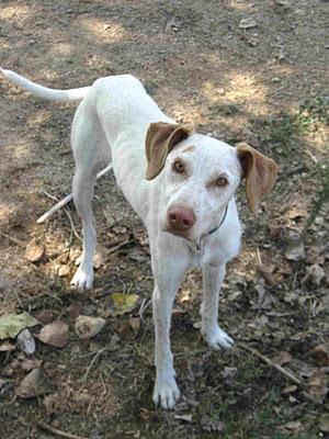3 ALMAS QUE BUSCAN FAMILIA - VALENCIA