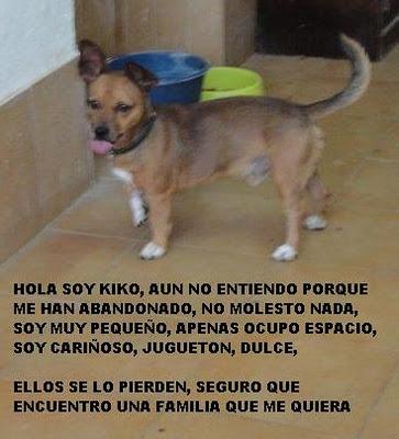 3 ALMAS QUE BUSCAN FAMILIA - VALENCIA