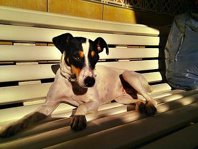 POR FAVOR AYUDA!! LEIRE Y RITA, SEVILLA...no se separaban la una de la otra...