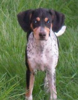 India rescatada de una muerte segura sigue buscando a su familia