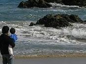 Cartas: vida sintigo