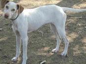 Llet historia triste, dejes leerlo.‏