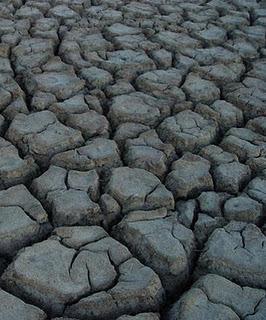 NUESTRO DESIERTO EMOCIONAL. Pilar Jericó.