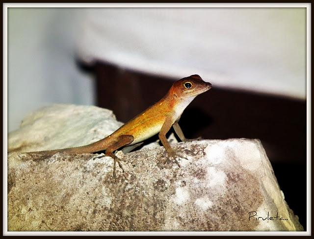 De vuelta a la realidad!!!