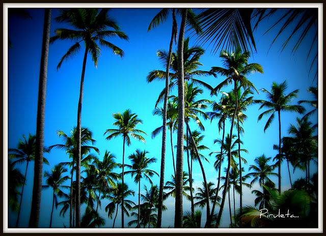 De vuelta a la realidad!!!