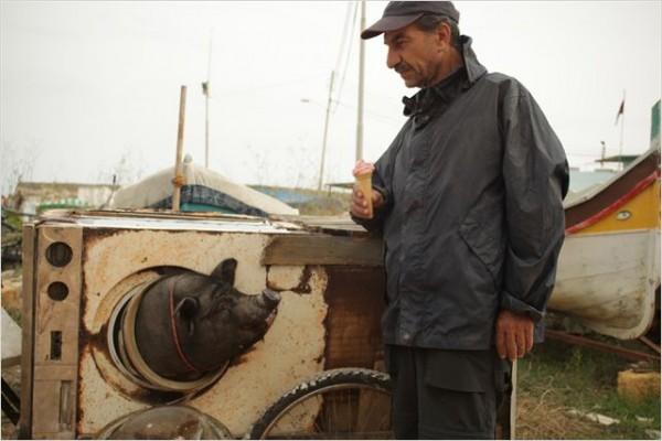 Le cochon de Gaza (When Pigs Have Wings), Francia 2011