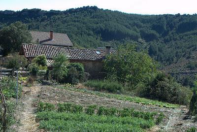 Agricultura ecológica en la Comunidad Valenciana: problemas y soluciones Agricultura ecológica en la Comunidad Valenciana: problemas y soluciones