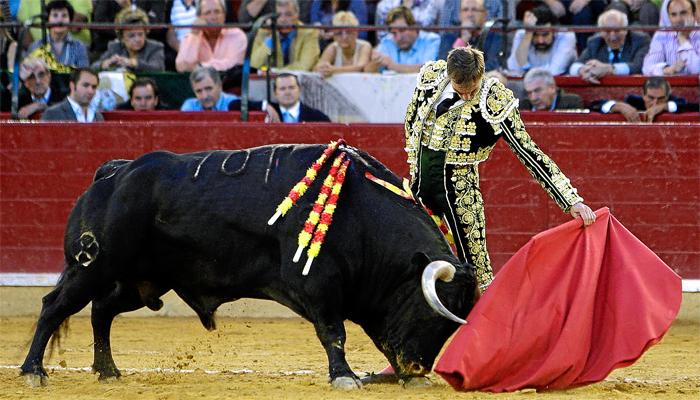 fotografia-torero-toro