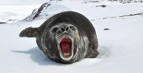 Enlaces de la semana (46/11) Enlaces de la semana (46/11)