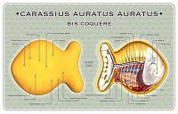 Enlaces de la semana (46/11) Enlaces de la semana (46/11)