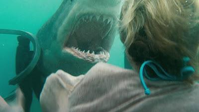 Terror en lo profundo (Shark Night 3D)