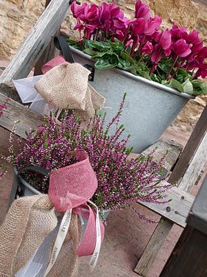 When love meets blog (1a parte) When love meets blog (1a parte)