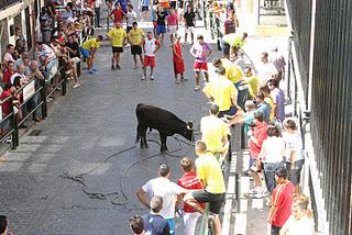 BALANCE DE LA TEMPORADA TAURINA 2011 EN LA SUBBÉTICA