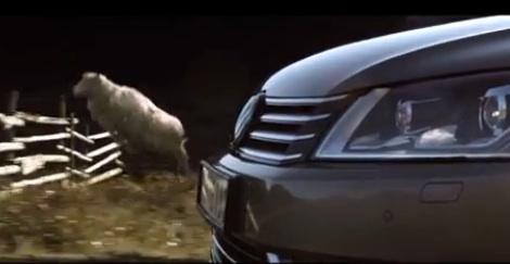 Sistema anti borregos brincando la cerca para VW