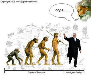 ¿Evolución?