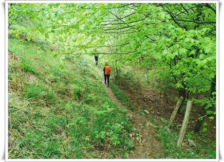 Ganbo Txiki y Ganboa desde Larraitz