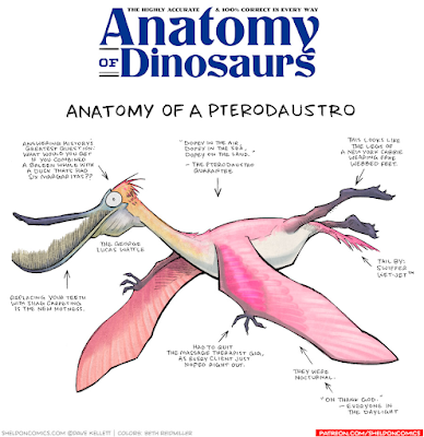 La anatomía de criaturas del pasado vista por Dave Kellett (III)