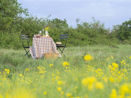 Una mesa campestre entre campos de colza para celebrar el amor_9