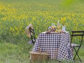 mesa campestre entre campos colza para celebrar amor