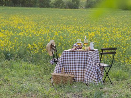 Una mesa campestre entre campos de colza para celebrar el amor