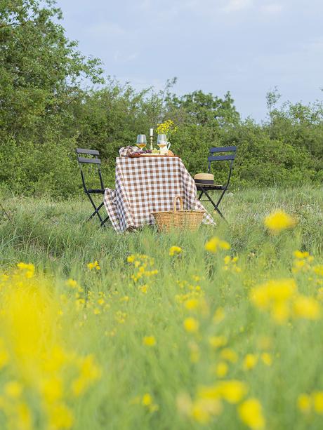 Una mesa campestre entre campos de colza para celebrar el amor_6