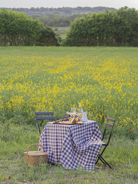 Una mesa campestre entre campos de colza para celebrar el amor_3