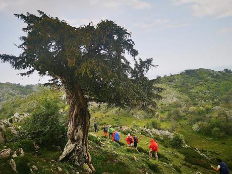 Integral a la Sierra de Peñamayor desde Les Praeres
