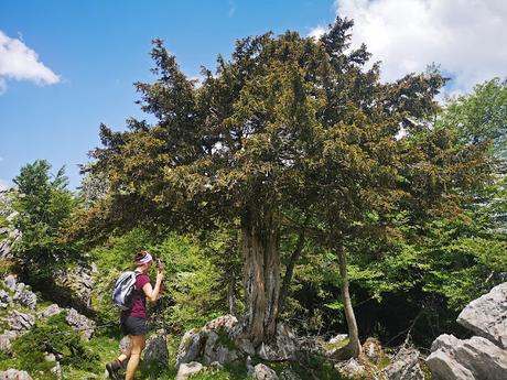 Integral a la Sierra de Peñamayor desde Les Praeres