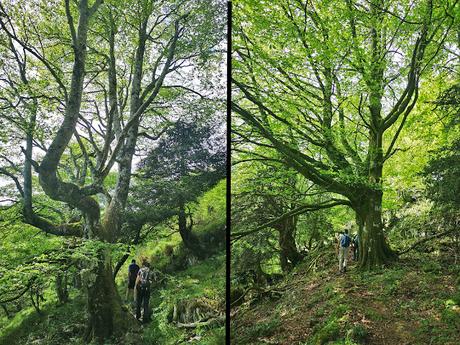 Integral a la Sierra de Peñamayor desde Les Praeres