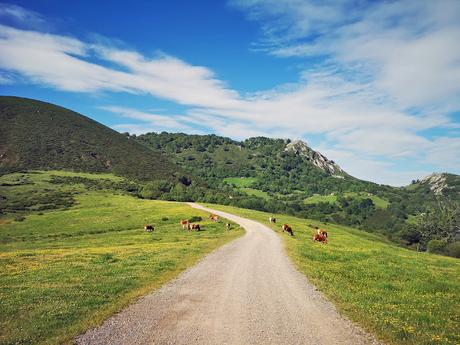 Integral a la Sierra de Peñamayor desde Les Praeres