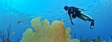 Que ver en Varadero – Explorar los fondos marinos de Cuba