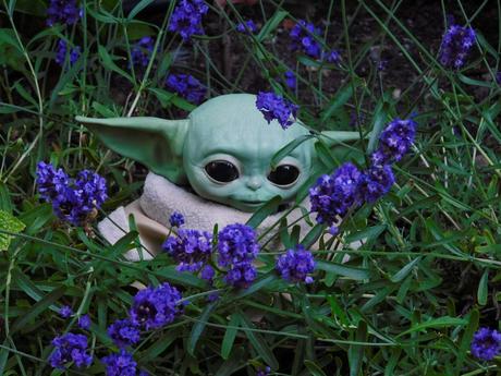 Calienta, que sales.