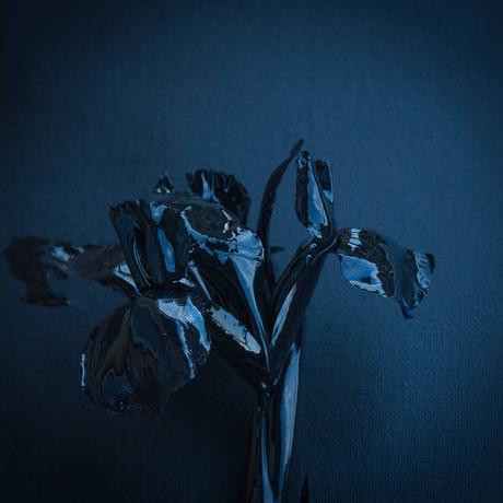 A Swarm Of The Sun - The Rifts (2015) A Swarm Of The Sun - The Rifts (2015)