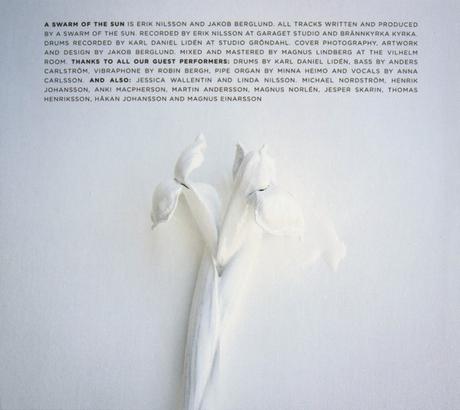 A Swarm Of The Sun - The Rifts (2015) A Swarm Of The Sun - The Rifts (2015)