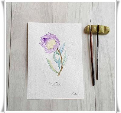 TERMINANDO RETOS DE ACUARELAS