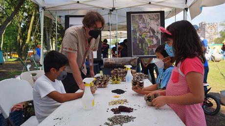 La UNAM, hacia un futuro sustentable La UNAM, hacia un futuro sustentable