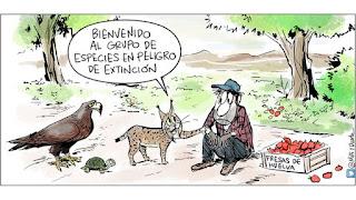 De Ucrania y la integración europea