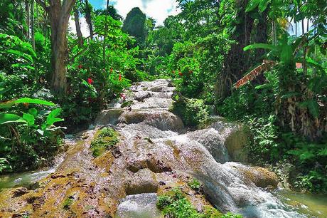 Cataratas del río tortuga