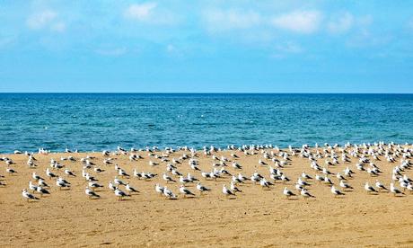 Playa de Southampton