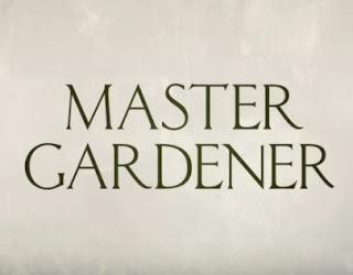 Cartelera Fin de Semana (CDXCIV)